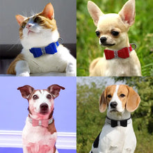 Load image into Gallery viewer, Pet Collar and Leash Set Bling with Rhinestones and Bow&#39;s Color Options