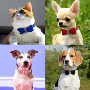 Pet Collar and Leash Set Bling with Rhinestones and Bow's Color Options