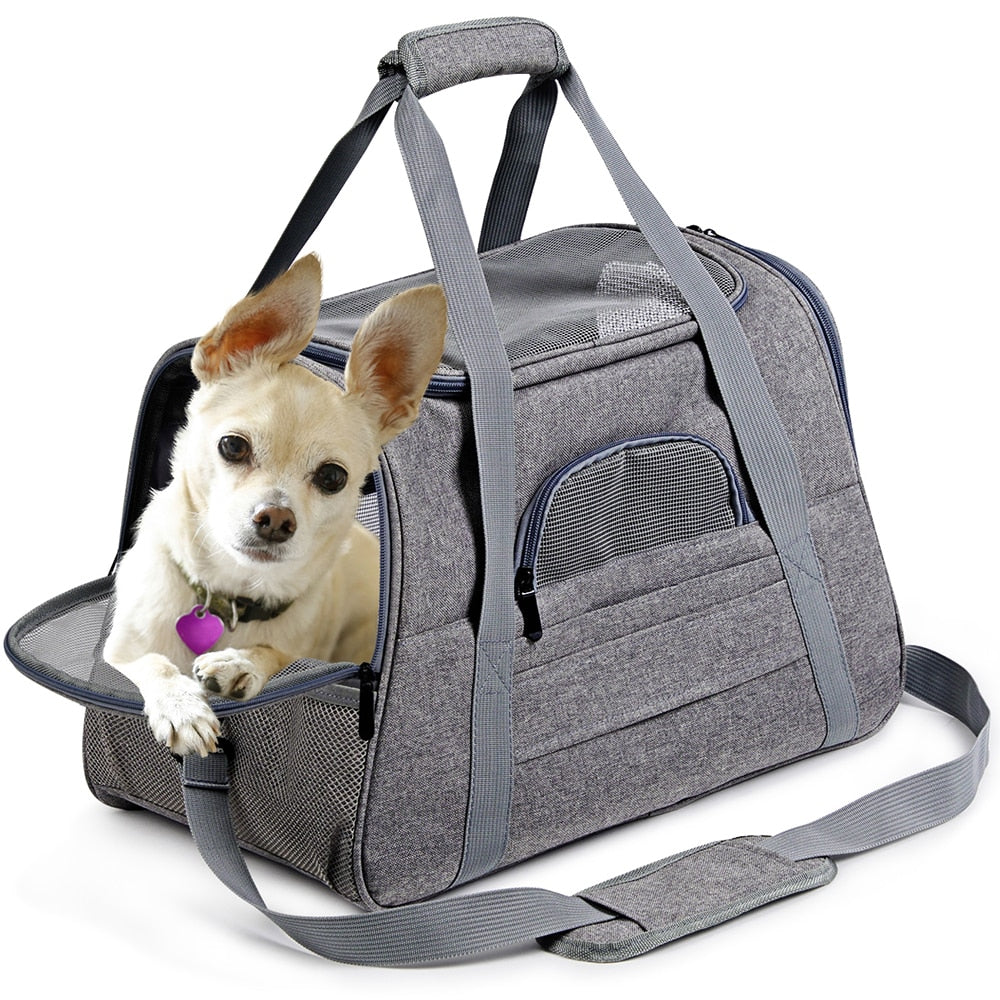 Prodigen Small Pet Soft-Sided Carrier Airline Approved Pet w