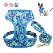 Load image into Gallery viewer, Dog Harness and Leash Set Nylon Breathable Padded Flowered Print COLOR OPTIONS Small-Medium- Large blue