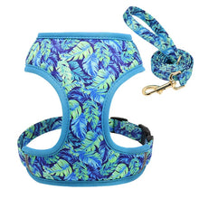 Load image into Gallery viewer, Dog Harness and Leash Set Nylon Breathable Padded Print COLOR OPTIONS Small-Medium- Large-XL